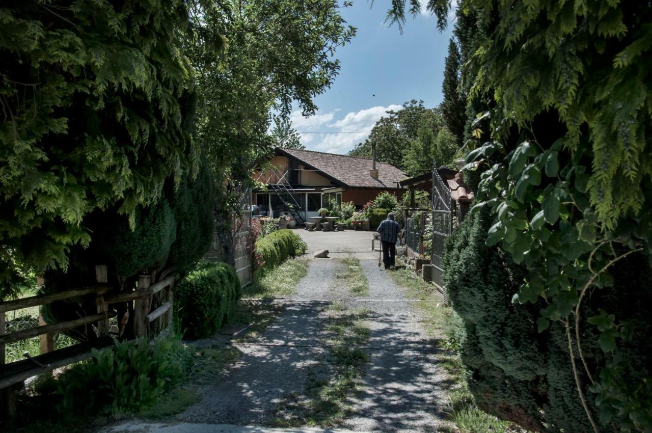 La Locanda Degli Elfi Viggianello Exteriör bild